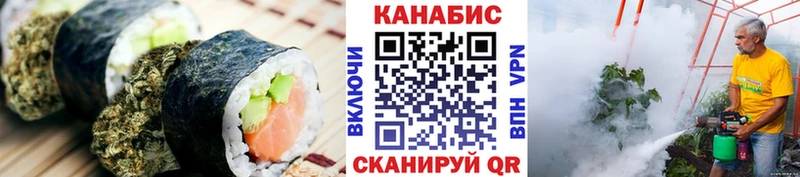 кракен ссылки  Ставрополь  Cannafood конопля  купить наркотики сайты 