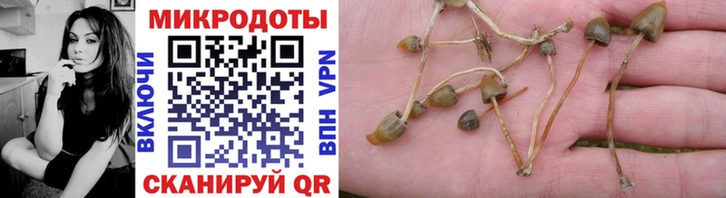 где можно купить наркотик  Ставрополь  Галлюциногенные грибы мухоморы 